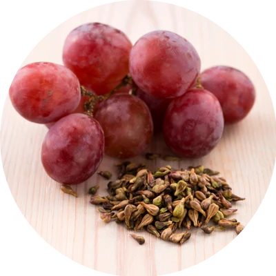 Hemoveda : Herbal Ayurvedic Hemorrhoids Relief Formula