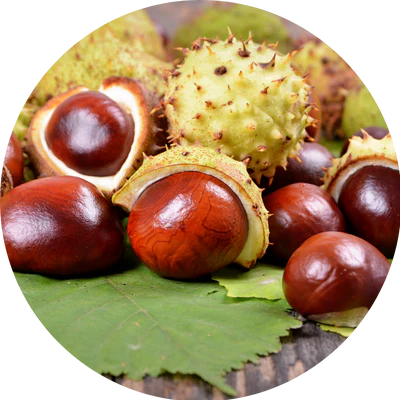 Hemoveda : Herbal Ayurvedic Hemorrhoids Relief Formula